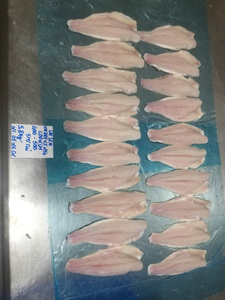 Filete de Pangasius Blanco Premium para Exportación, IQF, 10-12cm, Grado A, 24 Meses, Empaque a Granel, Vietnam - Product Image 2