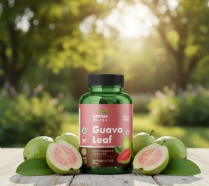Tabletas de Extracto de Hoja de Guayaba Efectivas, Psidium Guajava, Base Vegetal Pura, Apoyo al Bienestar, Venta al Por Mayor, Directo de Fábrica, Global - Product Image 1