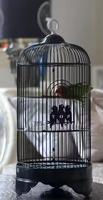 Vente en gros de petites cages à oiseaux rondes multicolores ornementales en métal très vendues Cages pour perroquets