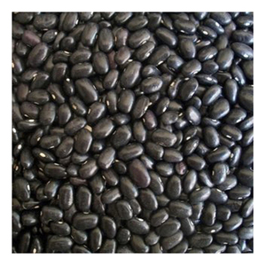 Frijoles Rojos al por Mayor, Frijoles Negros Oscuros para Exportación - Product Image 3