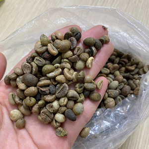 Granos de Café Verde Robusta PHALCO de Alta Calidad, Grado 1, Criba 16/18, Vietnam, Mejor Precio, Listos para Exportar en Bolsas de Yute - Product Image 1