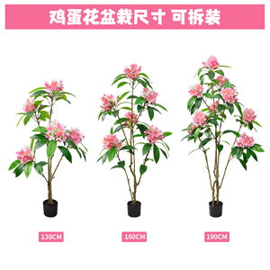 <span class=keywords><strong>ต้น</strong></span>เฟรนจิปานีปลอม<span class=keywords><strong>ขนาด</strong></span><span class=keywords><strong>ใหญ่</strong></span>แบบกำหนดเองในกระถาง สำหรับวันวาเลนไทน์-สำหรับโรงแรม - Product Image 4