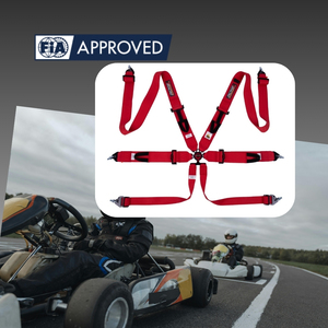 เข็มขัดนิรภัยสำหรับรถแข่ง TBRACING ECO-D ผลิตในไต้หวัน ได้รับมาตรฐาน FIA  รับทำโลโก้และสีตามสั่ง แบบ 6 จุด สำหรับแบรนด์มอเตอร์สปอร์ต - Product Image 2