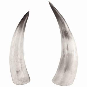 Corne à boire viking authentique et écologique, corne de bœuf/vache naturelle de haute qualité, finition polie, style vintage, logo personnalisable - Product Image 4
