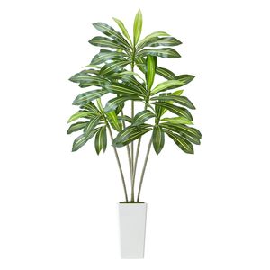 Dracaena Artificiale Bianca in Fibra di Vetro da 1,8 m in Vaso Alto, Pianta Finta in Seta, Grande Palma Tropicale Finta - Product Image 1