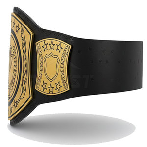 Ceinture de championnat en cuir écologique, légère, confortable et durable, facile à utiliser, douce et lisse, pour l'entraînement aux arts martiaux - Product Image 3