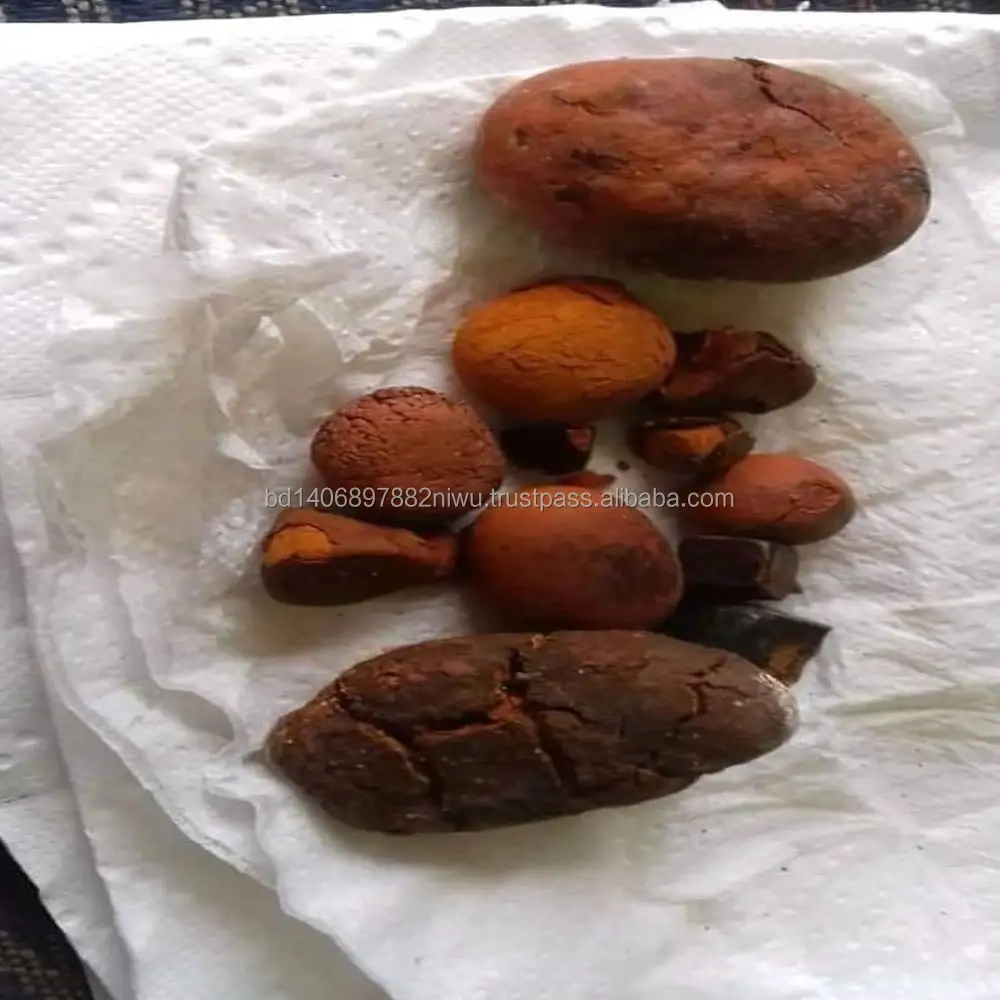 Natural and Pure top Quality Ox Gallstones Cattle Gallstones Cow Gallstones Buy Cow Gall Stones for sale