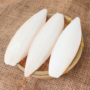 Bloque de Calcio de Hueso de Sepia Seco Blanco para Aves, 10-15cm, Empaque Minorista, Venta al por Mayor a Granel de Vietnam, Hueso de Sepia Os Sepiae - Product Image 4