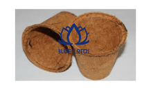 Meilleures ventes : Pot de démarrage pour semis en fibre de coco naturelle, écologique, Blue Lotus, moderne, capacité 3-5x supérieure à l'eau, sans choc de transplantation - Product Image 1
