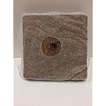 Bloc de fibre de coco 5 kg pour culture de plantes, haute rétention d'eau, écologique, biodégradable, support de culture organique pour jardinage - Product Image 6
