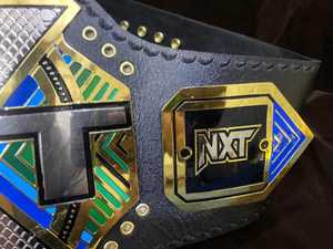 เข็มขัดแชมป์ NXT ชุบทอง ทำจากโลหะผสมสังกะสี สายหนัง น้ำหนักเบา ความยาว 1.2 เมตร สำหรับทุกเพศ MMA แบบกำหนดเองได้ 1 ชิ้น - Product Image 2
