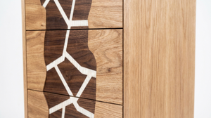 Mueble de Salón Minimalista Contemporáneo de Madera Maciza con 5 Cajones, Diseño de Panel Plano, Muebles Modernos - Product Image 3