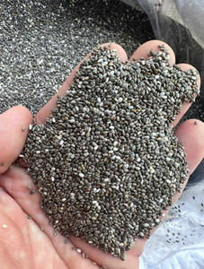 Graines de chia séchées de haute pureté pour l'exportation, prix de gros, graines de chia noires riches en calcium et en protéines, approvisionnement en gros - Product Image 2