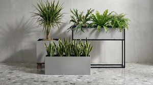 Macetero de Cobre Negro con Base Redonda Cromada de Alta Calidad para Uso Comercial y en Jardines Domésticos - Product Image 2