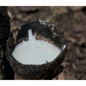 Caucho de Látex Blanco Natural con Propiedades Elásticas Superiores para Productos de Consumo y Aplicaciones Industriales - Product Image 4