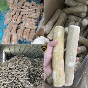 Juguete Masticable para Perros de Madera de Café Natural – Barra Masticable Resistente para la Limpieza de Dientes - Product Image 3