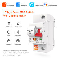 Disjoncteur intelligent WiFi Tuya 1P AC230V/120V, option 16A-125A, contrôle vocal Alexa Google, pour maison et commerce PST-MCB-1P