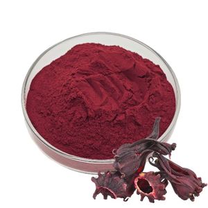 Polvo de Flor de Hibisco OEM/ODM para Mascarilla Facial y Capilar, Polvo Natural Puro de Hibisco Rosa-Sinensis para el Cuidado del Cabello y la Piel - Product Image 1
