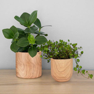 Maceta de madera de diseño clásico, elegante contenedor de plantas para mesa, para decoración del hogar y la oficina, macetas, recipientes para plantas - Product Image 3