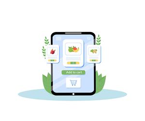 Application mobile de livraison d'épicerie intelligente Connectivité client-fournisseur Commandes instantanées Paiement sécurisé Internet Android iOS Linux MAC - Product Image 1