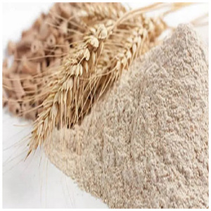 Farine de sarrasin biologique sans gluten de haute qualité en vrac ou en sac, avec germe entier - Product Image 5
