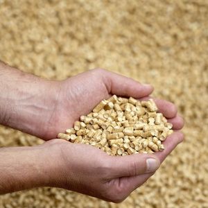 Granulés de bois de pin et de sapin de qualité industrielle ENplus A1, combustible biomasse renouvelable, sacs de 15 kg, granulés de qualité export avec la meilleure réduction - Product Image 1