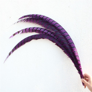 Plumas de Cola de Faisán de Lady Amherst Zebra Extralargas de 80-90 cm al por Mayor para Disfraces de Carnaval y Suministros para Fiestas - Product Image 6