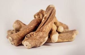 Bâtonnets à mâcher en bois de café de qualité supérieure, soins dentaires naturels, non toxiques, jouet à mâcher pour chien, prix de gros en vrac - Product Image 3