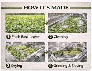 Poudre de Tulsi Premium, Extrait de Feuille de Basilic Sacré 99% Qualité Alimentaire en Bouteille, Approvisionnement en Vrac pour l'Industrie des Compléments Alimentaires à Base de Plantes, Exportation - Product Image 2