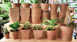 Maceta Ecológica de Fibra de Coco, Contenedor Biodegradable para Cultivo Agrícola, Taza Natural de Cáscara de Coco, Macetas para Viveros de Flores, Venta al por Mayor - Product Image 3