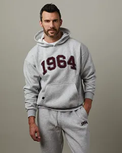 Sweat-shirt à capuche unisexe en polaire bleu clair, coupe classique, vêtement décontracté d'automne, imprimé brodé, polyester/coton - Product Image 1