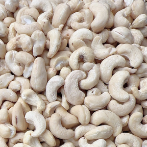 Hot Sale Organic Roasted Cashew <b>Nuts</b> W240 Cashew Prices Worldwide Santigo Ltd Reasonable Price - Product Image 1