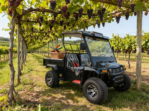 Mini jeep électrique tout-terrain 4x4 puissant, véhicule utilitaire agricole électrique utilisé dans la ferme - Product Image 4