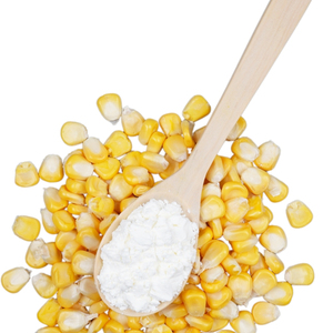Harina de Maíz 100% Natural en Polvo Fresco para Importadores a Granel con Suministro de Alimentos de Calidad Confiable - Product Image 1