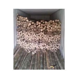 Pólos de bambu para fabricação na Ásia, gigante flamejado de 4.0 polegadas de diâmetro, 4.0" de diâmetro x 1.0 pés-7.0 pés de comprimento, Whatsapp 0084587176063