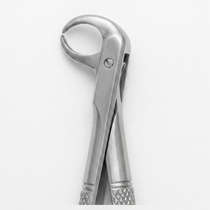 คีมถอนฟัน รุ่น Fig. ฟันกรามล่าง 86C (แบบอังกฤษ) |   สแตนเลสเกรดพรีเมียม - Product Image 1