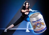 Individuelle Geschmacksrichtungen Energy Drinks mit Sporternährung Red Tiger Energy Drink 24 Aluminiumdosen von A&B Vietnam Formel-Lieferanten