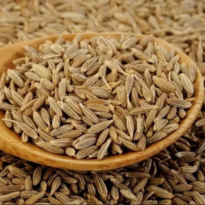 เมล็ดยี่หร่าออร์แกนิก-Ashutosh Enterprises อายุการเก็บรักษา 24 เดือน ราคาขายส่ง พร้อมใช้ จากอินเดีย ราจกอต กูร์กาฏ - Product Image 1