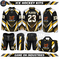 Tenue de sport professionnelle pour équipes, maillot de hockey sur glace et pantalon de protection personnalisés avec logo, kit complet, fournisseur en gros
