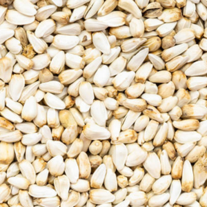 Semillas de Cártamo Limpias para Exportación Global B2B, Envío en Contenedores de Gran Volumen, Suministro Directo de Fábrica, Importadores de Semillas de Cártamo a Granel - Product Image 4