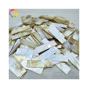 Pièces de coquillages brutes irrégulières en vrac pour incrustations de meubles et décoration intérieure - Product Image 6