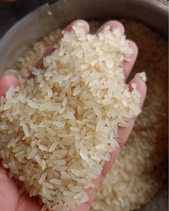 Arroz Blanco Parboilizado IR64 de Primera Calidad Disponible para Exportación, Entrega Rápida, Compre Ahora, Listo para Enviar, Stock en Austria - Product Image 5