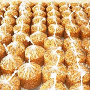 DRIED LONGAN FOR <b>TEA</b> WHOLESALE | HIGH QUALITY DRIED FRUIT FROM VIETNAM - Product Image 2