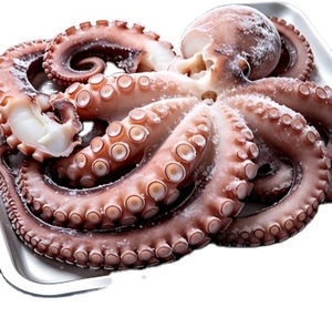 Encontrar <span class=keywords><strong>Pulpo</strong></span> <span class=keywords><strong>Entero</strong></span> <span class=keywords><strong>Congelado</strong></span> Similar a Icon Fresh, Disponible para Comercio Global con Embalaje Seguro - Product Image 3
