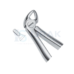 Forceps d'extraction dentaire en acier inoxydable, forceps manuels pour dents, griffes chirurgicales pour usage clinique - Product Image 3