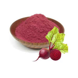 Poudre de Betterave Lyophilisée SHUBHALAXMII FOOD INDUSTRY 0% d'humidité Durée de Conservation de 2 Ans Emballage en Vrac Origine Maharashtra - Product Image 1