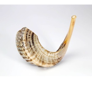 Shofar de Cuerno de Carnero Natural en Forma de Espiral, Instrumento de Viento Hecho a Mano, Sonido Puro para Festividades Religiosas, Venta al por Mayor - Product Image 6