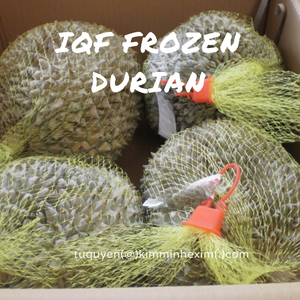 เนื้อทุเรียนเวียดนามแช่แข็ง IQF 100% ผลไม้เขตร้อนคุณภาพเยี่ยม บรรจุภัณฑ์ขนาดใหญ่ 10 กก. รสชาติหวานธรรมชาติ เก็บรักษาที่อุณหภูมิ -18 องศาเซลเซียส - Product Image 5
