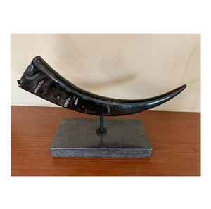 Artículo decorativo ecológico moderno de cuerno de búfalo, 3 piezas en forma y color natural para decoración del hogar. - Product Image 3