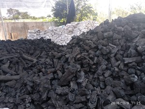 CHARBON DE BOIS POUR BBQ PAR BIWOOD COMPANY FOURNISSEUR AU VIETNAM 100% BOIS FRANC SANS POUSSIÈRE, SANS POUDRE DE CHARBON DE BOIS - Product Image 4